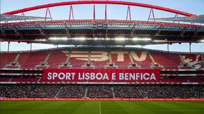Benfica revela como vai compensar os sócios com lugares anuais no Estádio da Luz