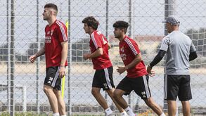 Muitas caras novas em novo treino do Benfica