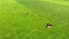 Estádio do Lixa vandalizado