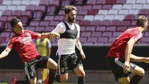 Benfica de regresso a casa: as imagens do primeiro treino no relvado da Luz