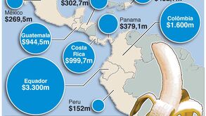 Doença ameaça cultura da banana