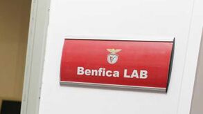 Analista do Benfica LAB revela segredos