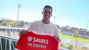 Edmundo aplaude venda de Pedrinho ao Benfica: «Andámos quatro anos à espera que ele estourasse»
