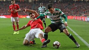 Nova época prevista para início de setembro