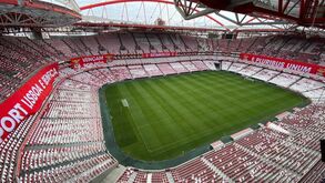 Mais de 21 mil cachecóis nas bancadas da Luz para o Benfica-Tondela