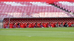 Assim está a tribuna da Luz e os bancos de Benfica e Tondela na 'nova realidade'