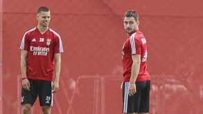 Equipa do Benfica apedrejada no regresso ao Seixal 