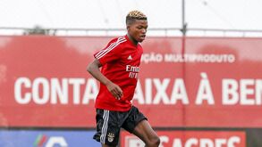 Javier Balboa duvida de Florentino Luís no Real Madrid