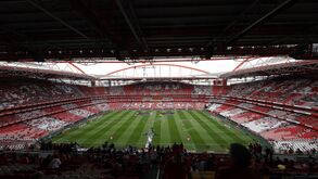 Benfica esclarece acordos com o Aves, cláusulas antirrivais, Paulo Gonçalves e Luís Duque