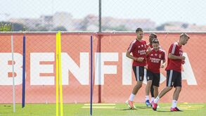 Weigl e Zivkovic em pleno: veja as imagens do treino do Benfica