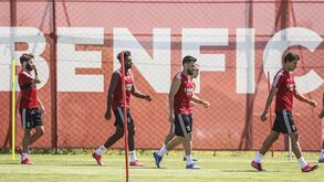 Benfica pode ser líder nesta jornada mas continuar atrás na luta do título: perceba o motivo