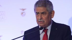 Luís Filipe Vieira e a Champions em Lisboa: «Uma escolha que orgulha o futebol português»