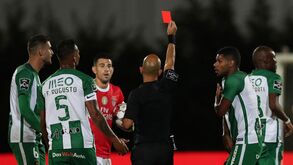 Os casos do Rio Ave-Benfica: especialistas Record analisam lances polémicos