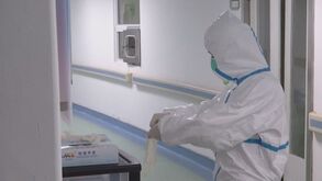 Coronavírus: Portugal com mais seis mortos e 311 novos casos confirmados