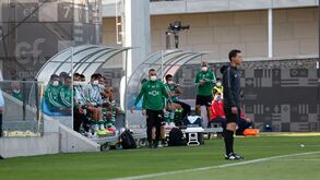 Rúben Amorim e a boa fase de Jovane: «Quatro jogos no Sporting não são nada»