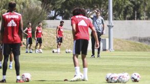 Crise de resultados do Benfica não interferiu no planeamento do jogo com o Marítimo