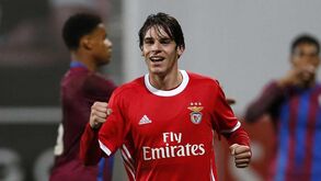 Convocados do Benfica para a deslocação à Madeira: estreia absoluta e ausência de última hora