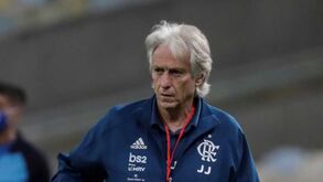Gomes da Silva: «Jorge Jesus fez parte de uma estratégia para destruir o Benfica»