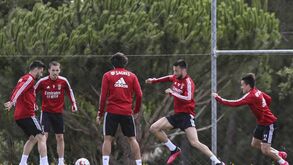 O onze provável do Benfica frente ao Marítimo