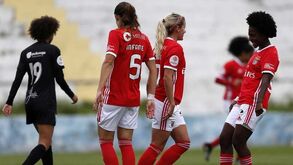 Equipa feminina do Benfica regressa com testes, exames médicos e um reforço leonino