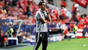 Nélson Veríssimo é o sétimo treinador interino da história do Benfica: função 'ingrata' já rendeu três Taças