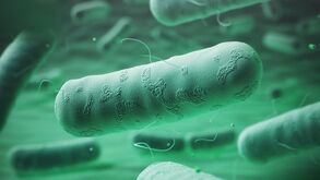 Confirmado caso de peste negra na China 