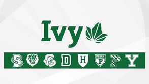 Covid-19: Várias universidades dos EUA cancelam competições desportivas até 2021