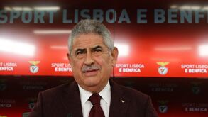 Benfica arrecada 50 milhões de euros com emissão de obrigações