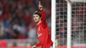 As maiores 'fábricas' de talento da década: Benfica lidera lista onde também entra o Sporting