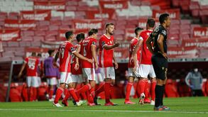Benfica derrota V. Guimarães na Luz e adia festa do FC Porto