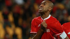 Luisão, o senhor Benfica XXI, está de regresso ao balneário encarnado