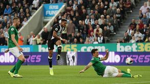 Brighton-Newcastle: cumprir calendário e fechar em grande
