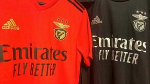 Adão e Silva e os novos equipamentos do Benfica: «Próxima direção vai poder reverter esta aberração?»