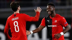 São estes os possíveis adversários do Benfica no caminho para a Liga dos Campeões