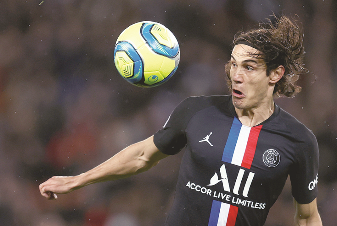 Imagem cavani.tif (6522326) (Milenium)