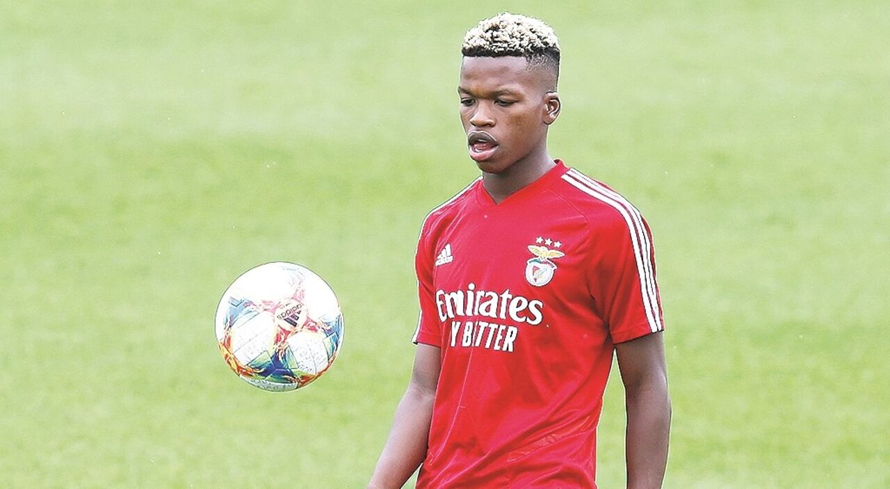 Imagem f1 18829110.tif (6615027) (Milenium)