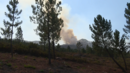 Incêndio no Gerês