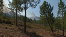 Incêndio no Gerês