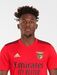 Defesa-esquerdo: Nuno Tavares (2 jogos como titular) - Com Grimaldo lesionado, o jovem assume-se para já. Gabriel também já foi opção para este lugar, assim como Cervi