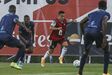 Lateral-esquerdo: Cervi