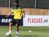 Neto