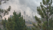 Incêndio no Gerês