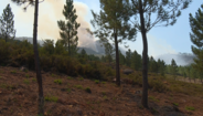 Incêndio no Gerês