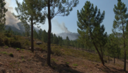 Incêndio no Gerês