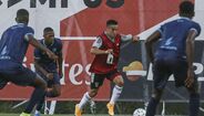 Lateral-esquerdo: Cervi