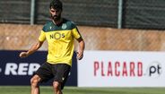 Neto