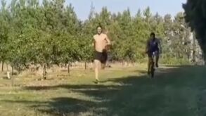 Cavani vai apresentar-se no Benfica em boa forma: preparação física começou em casa