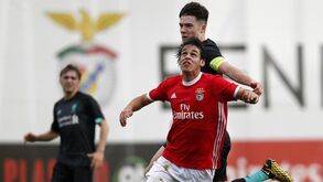 Jovens do Benfica rumo ao sonho da Youth League