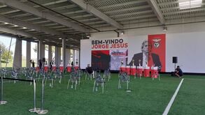 O cenário que o Benfica preparou para a apresentação de Jesus: dez troféus de JJ e finais perdidas estão expostos