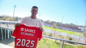 Pedrinho esperado amanhã no Benfica